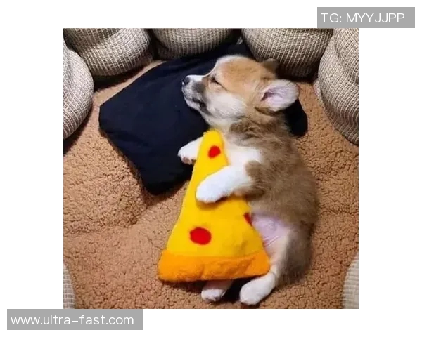 足球明星们的独特睡姿高清图片大赏揭示他们的私密一面与生活习惯